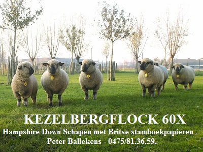 Kezelbergflock